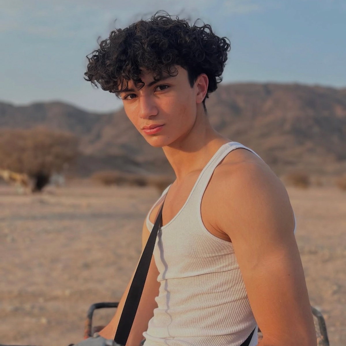 Lost in the desert