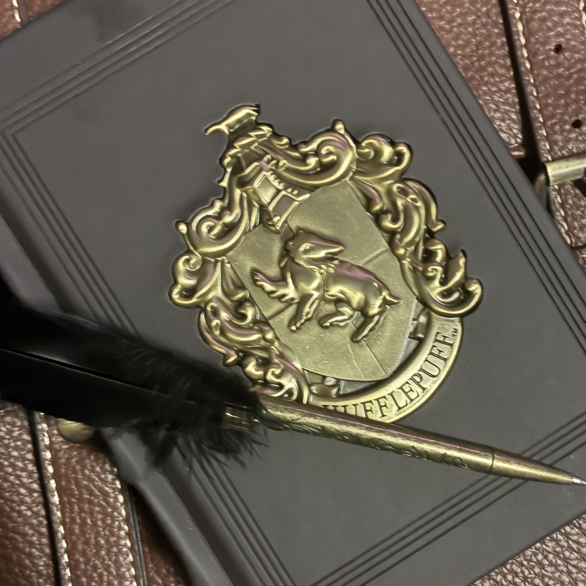 feeling a little bit of hufflepuff magic today. what house are you? 

First entry:” break my heart if you must… break it into a thousand pieces… for it was and is only yours to break anyways 💜”