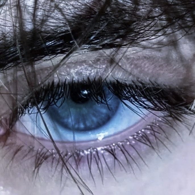 some secrets are best kept in the depths of an eye.